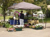 lake placid farmers market