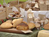 adirondack farmers market