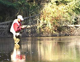 Fishing the Adirondacks: A Complete Angler’s Guide to the Adirondack Park  and Northern New York