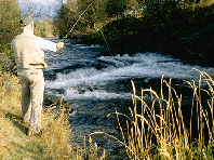 spring fishing adirondacks